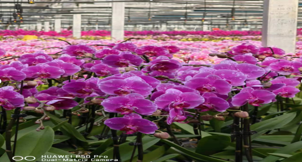 ��ҳ|yl6809�����������޹�˾�ٷ���վ