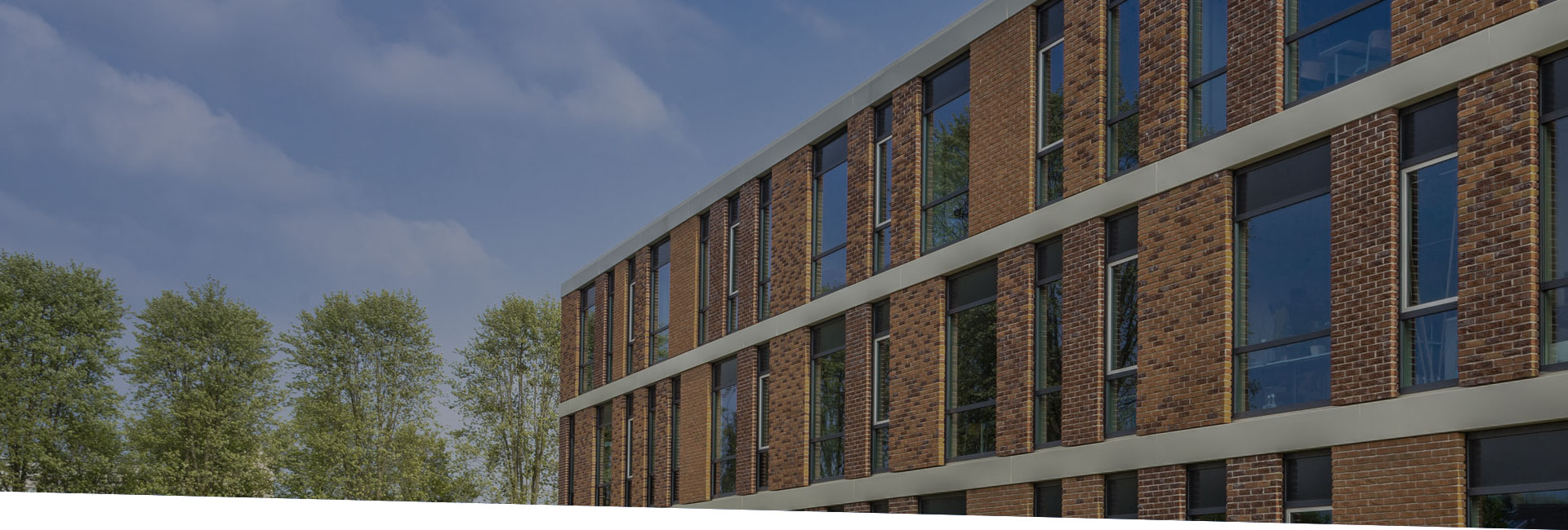 business_detail_banner