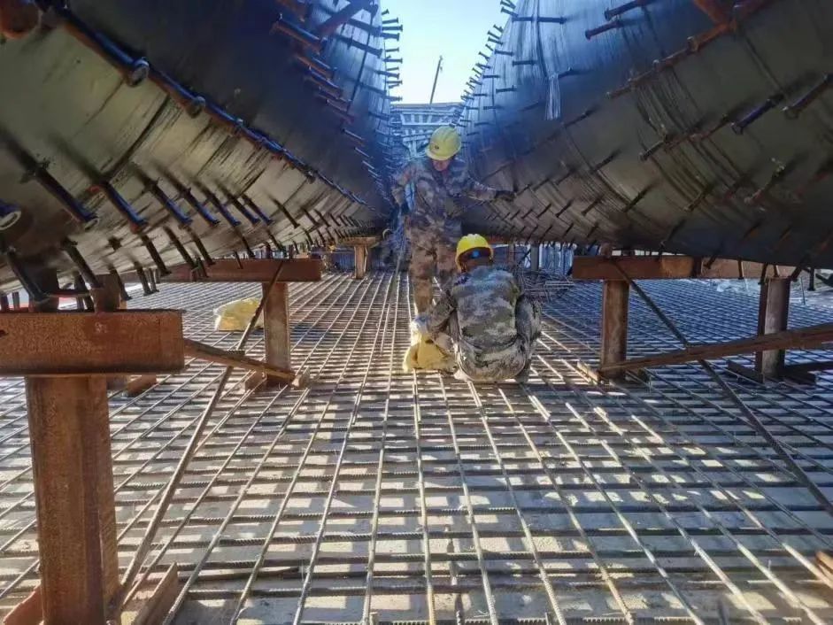 20231113171457_2884 20231113171457_2884