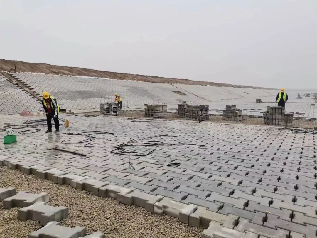 20240219093143_0777 20240219093143_0777