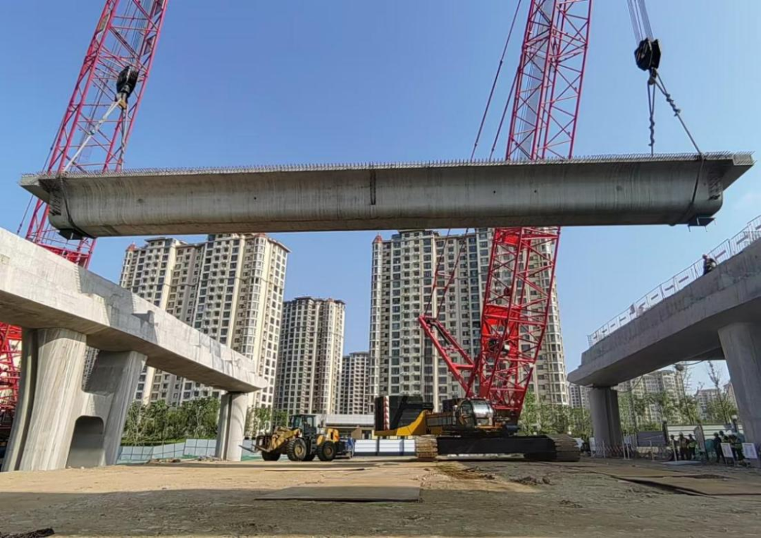 20240929190256_6775 20240929190256_6775