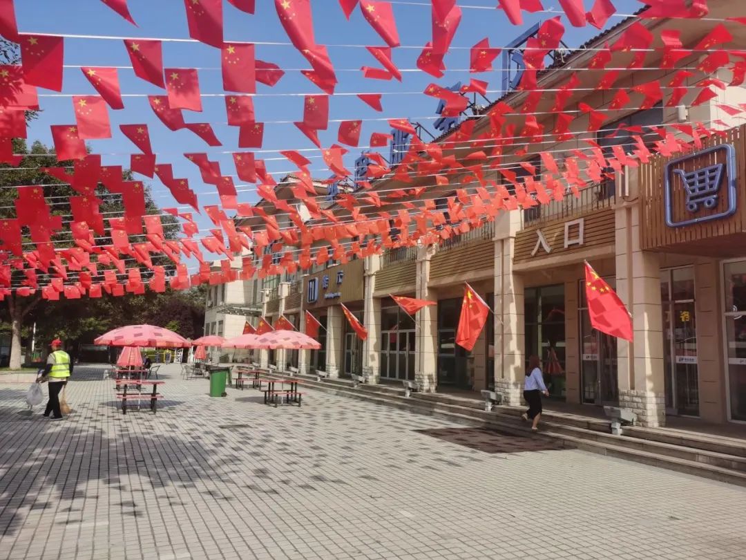 20241008171310_8596 20241008171310_8596