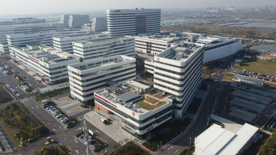 20241202111524_7910 20241202111524_7910