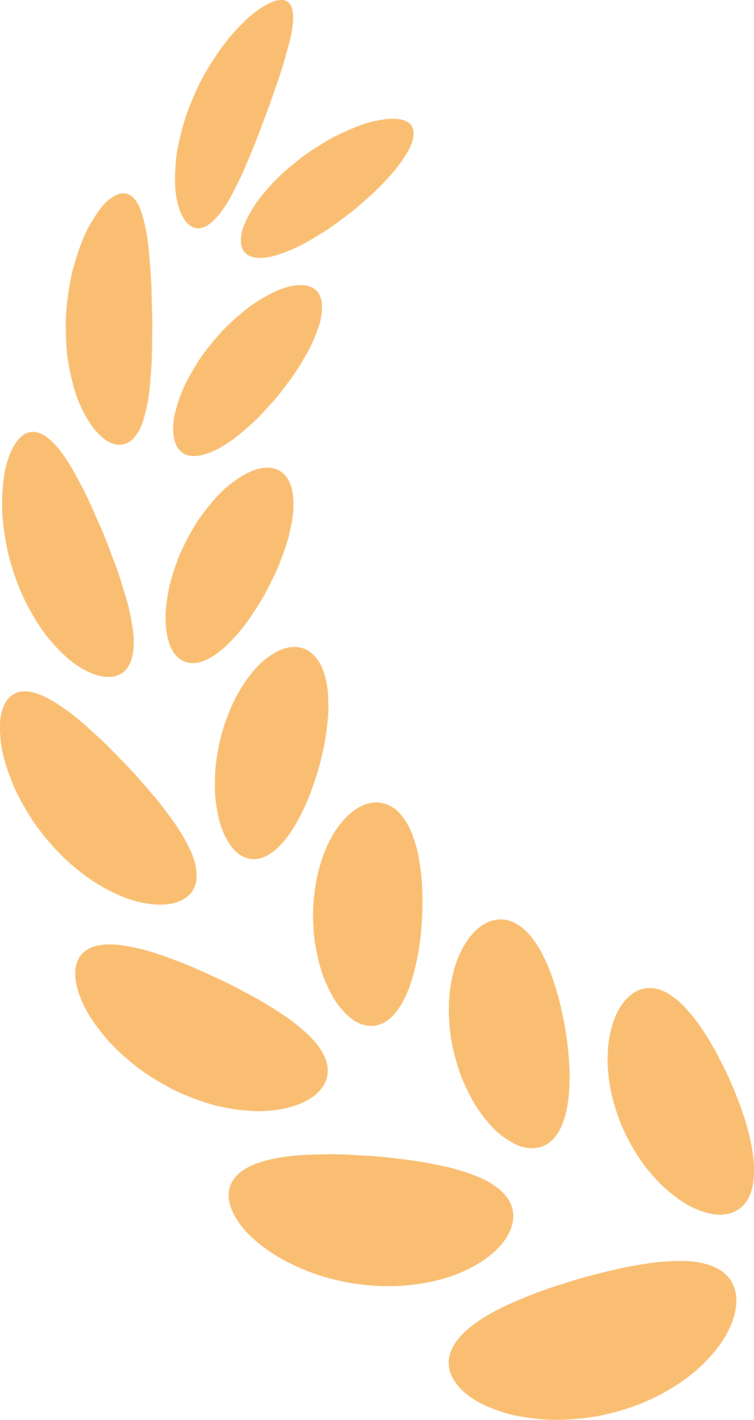 20250124113254_6746 20250124113254_6746