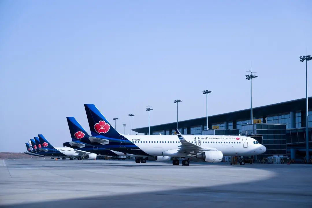 20250228172631_6918 20250228172631_6918