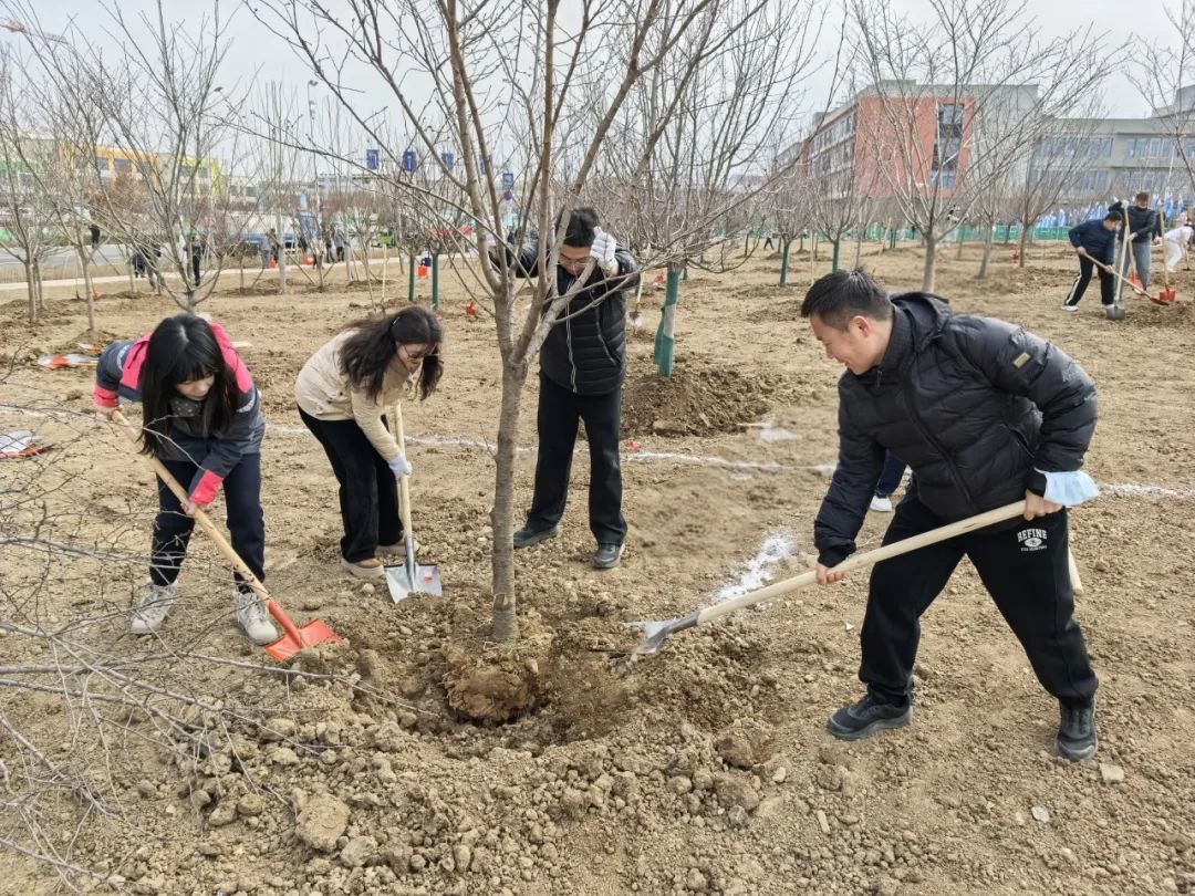 20250321162117_4452 20250321162117_4452