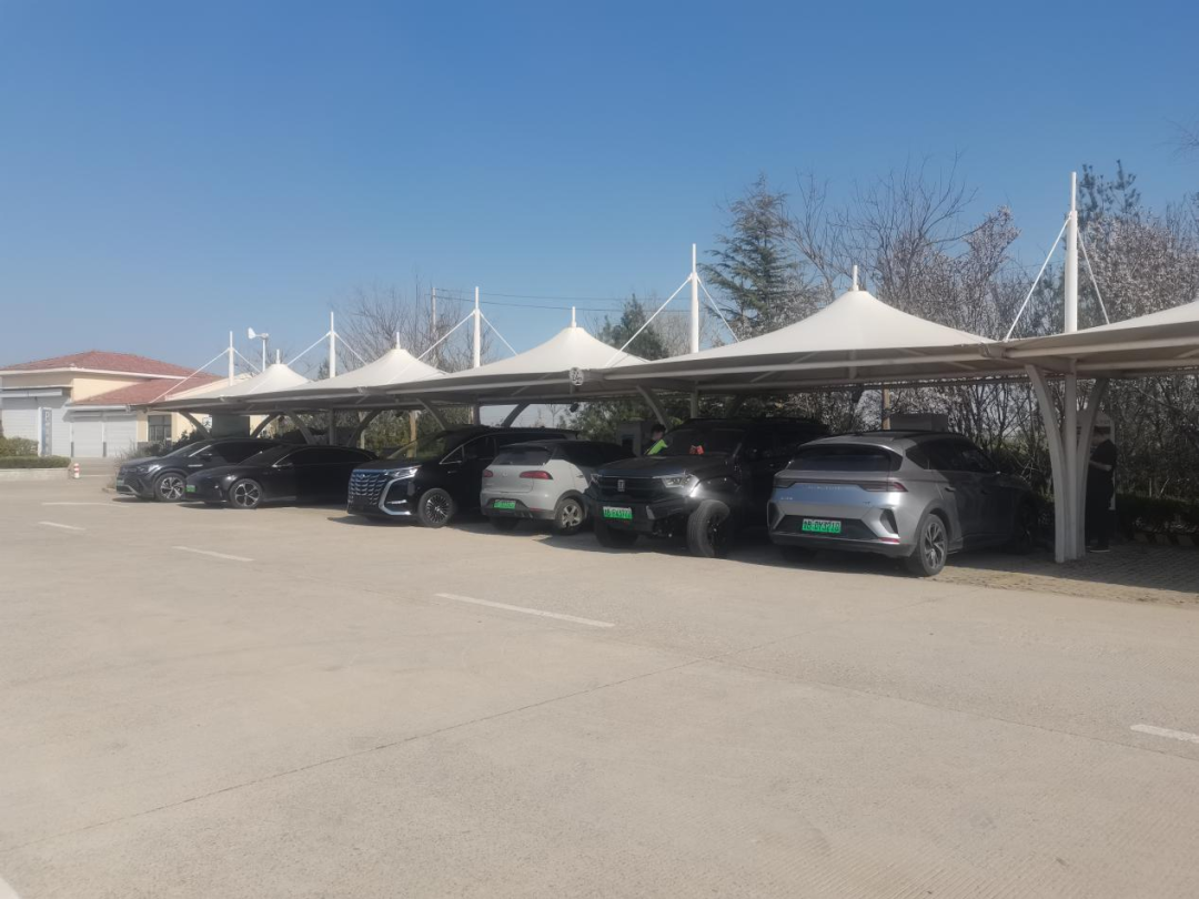 20250507095203_3933 20250507095203_3933