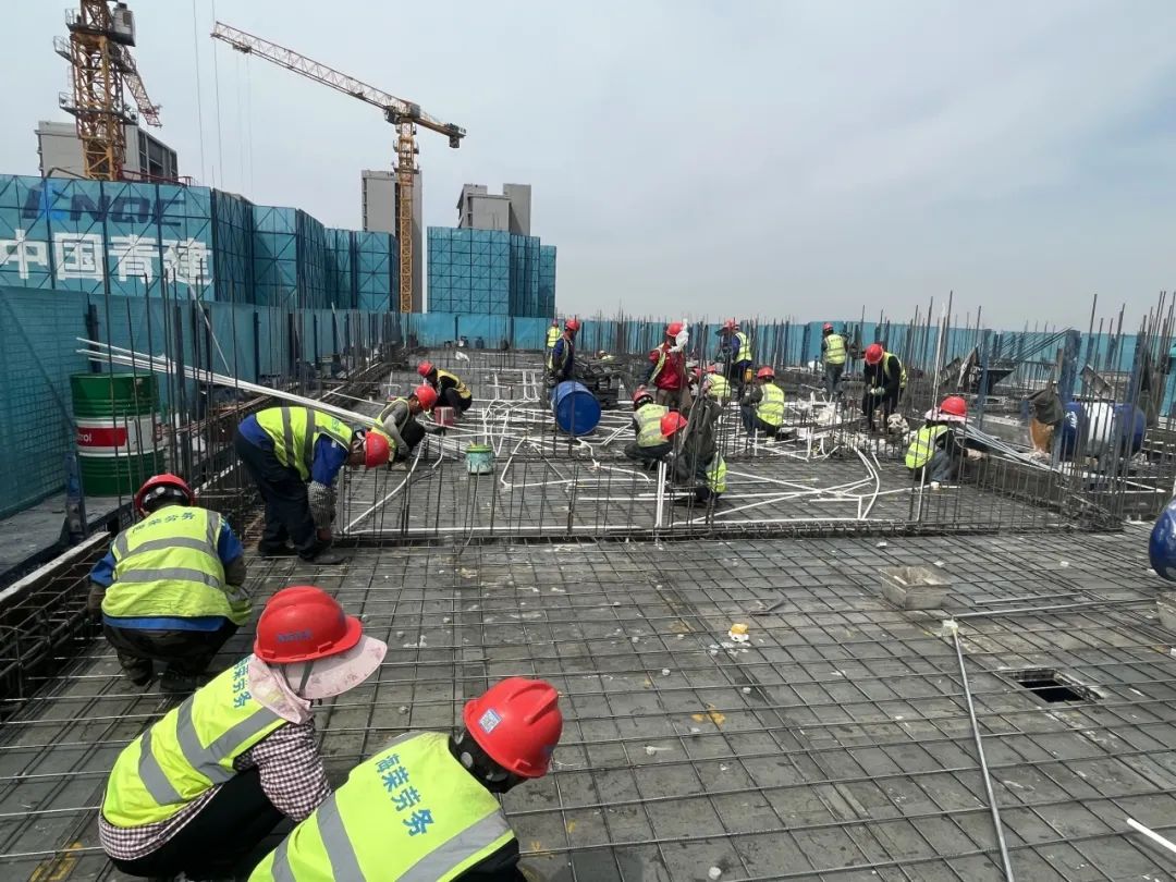 20250514160439_7145 20250514160439_7145