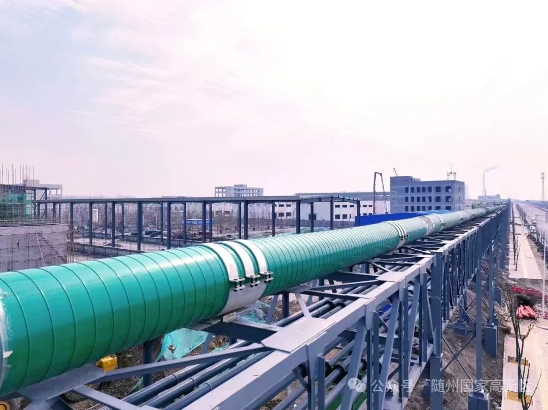 20250623135257_5367 20250623135257_5367