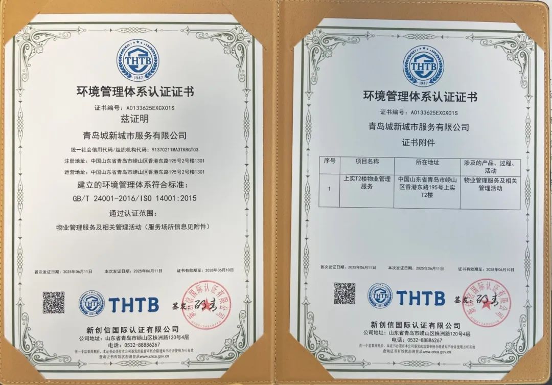 20250701180942_1409 20250701180942_1409