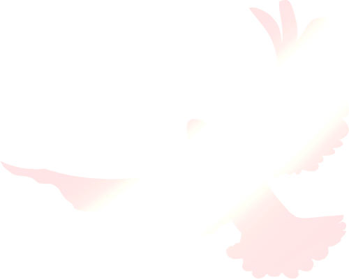 20250716143700_0198 20250716143700_0198