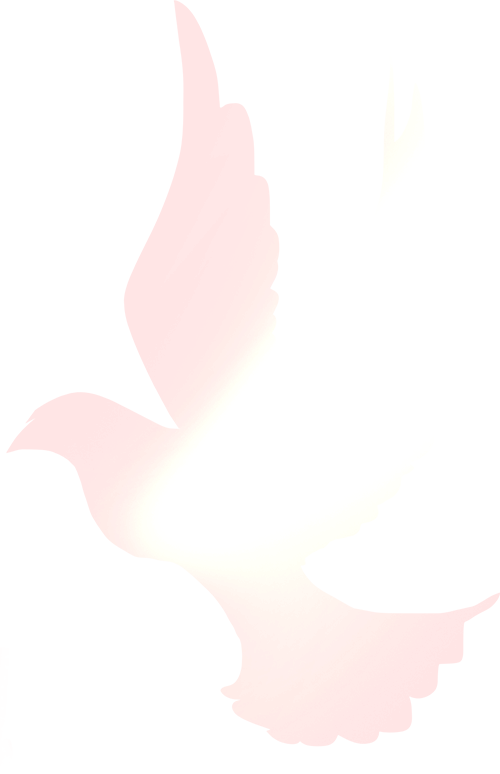 20250716143700_0511 20250716143700_0511