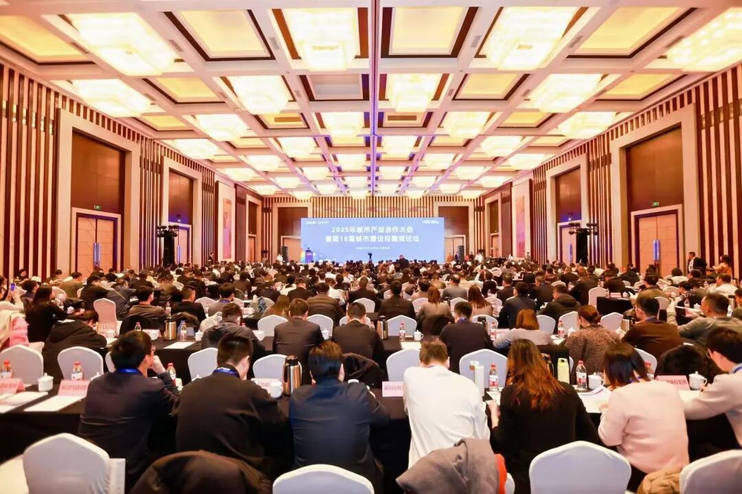 20251208110052_6473 20251208110052_6473